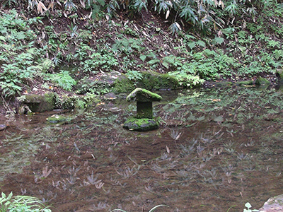 樋知神社の裏手にある「お種池」