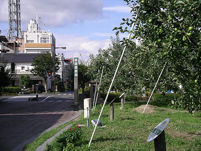 美術館と駅の間にはりんご並木が