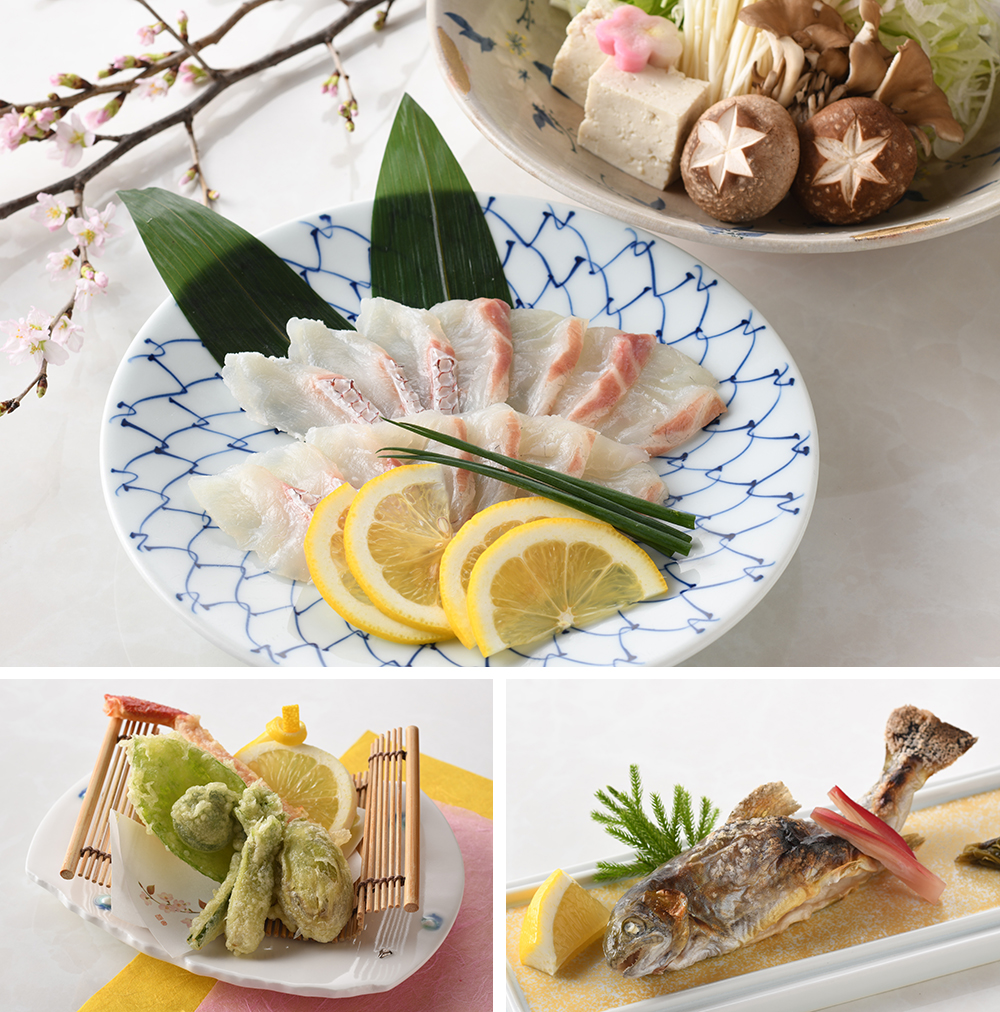 【3・4月限定】春会席プラン｜セレクトプラン