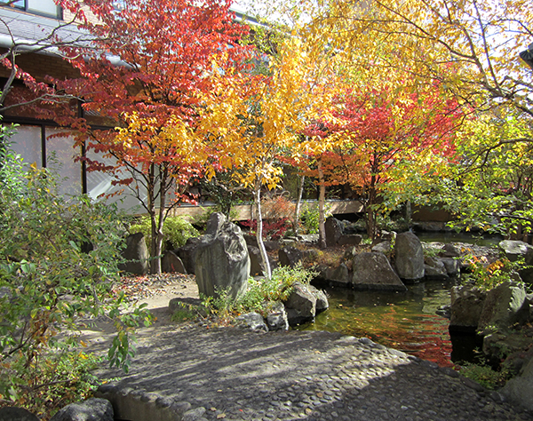 紅葉の中庭