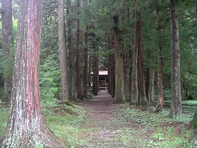 長野市大岡　樋知神社の参道