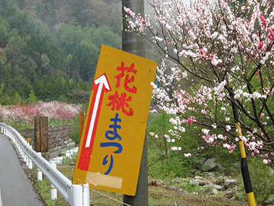 「花桃まつり」の看板