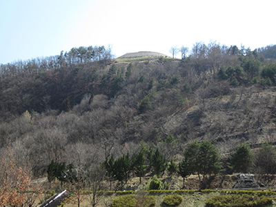 下から見上げた「森将軍塚古墳」