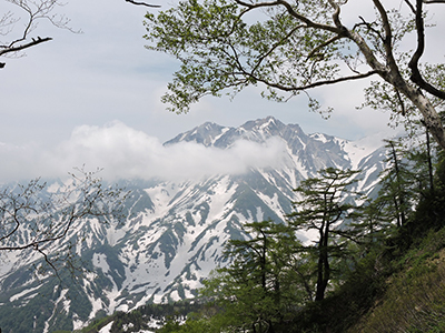 残雪の杓子岳