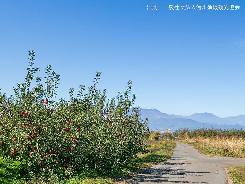 橋脚の跡