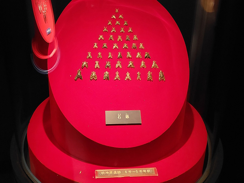 資料館の展示（黒耀石体験ミュージアム）