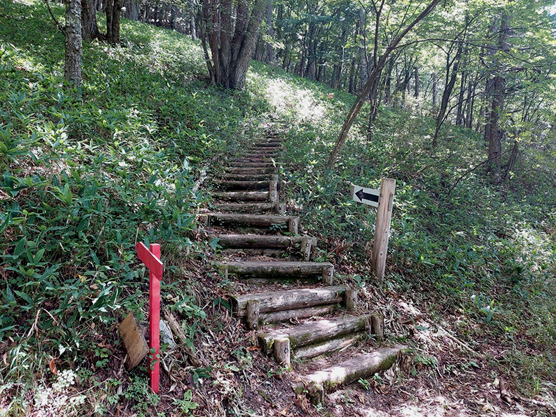 「星くそ館」へ行くには山に入るシステム