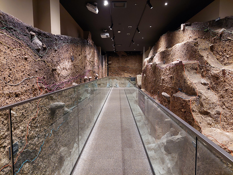 「星くそ館」の中の展示