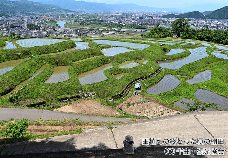 田植えが終わった頃の棚田