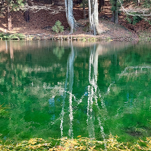 るぽ信州［77］