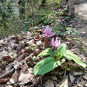 るぽ信州［82］