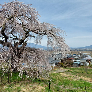 るぽ信州［83］