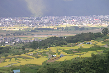 笹屋ホテル旅企画