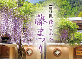第45回花ごよみ「藤まつり」