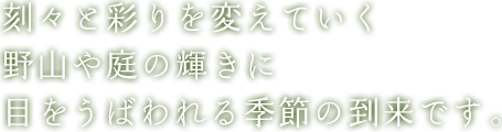 刻々と彩りを変えていく 野山や庭の輝きに 目をうばわれる季節の到来です